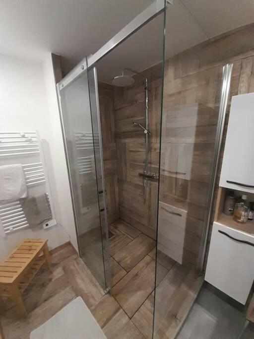 Appartement Spacieux &Tres Calme. Spacious & Very Quiet Apartment. การ์โรส ภายนอก รูปภาพ