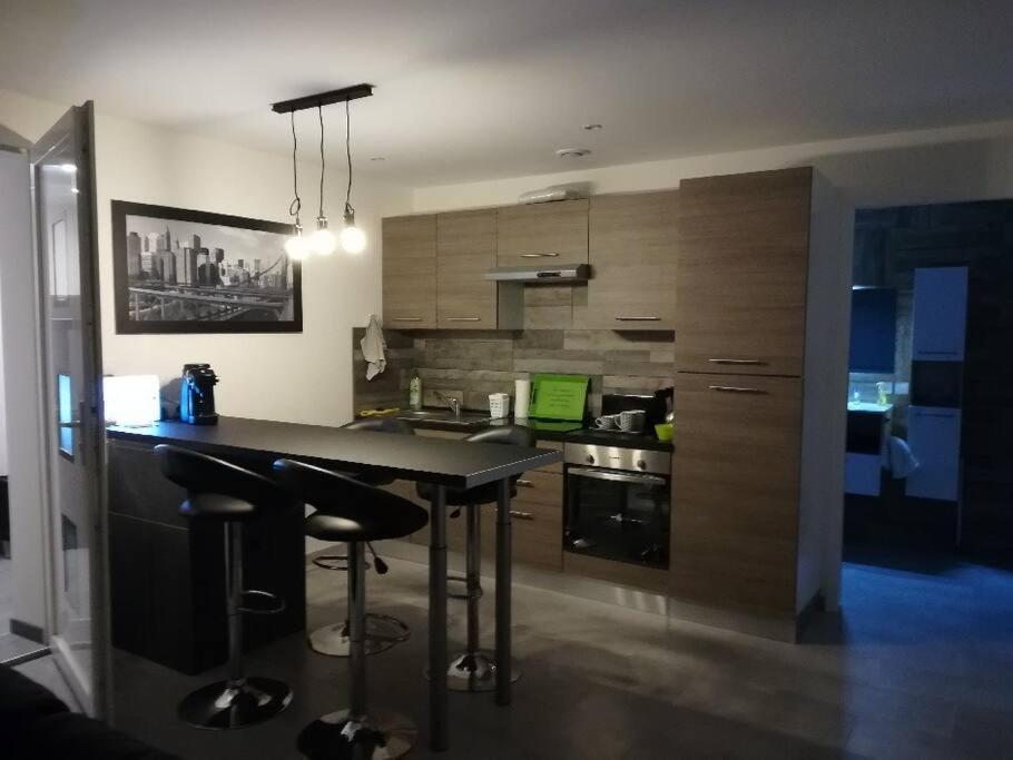 Appartement Spacieux &Tres Calme. Spacious & Very Quiet Apartment. การ์โรส ภายนอก รูปภาพ